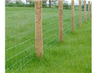 INCISED STRAINING POSTS