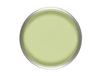 EDEN CHALK PAINT 1L TIN