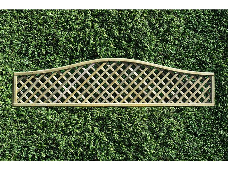 Omega Diamond Lattice Top