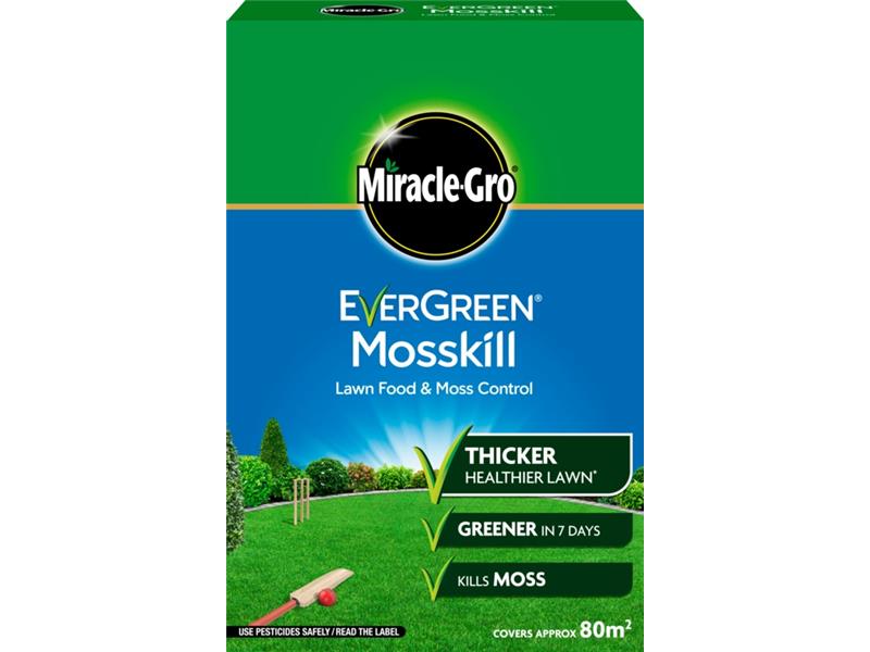 Evergreen Mosskill With Lawn Food